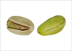 ピスタチオの写真